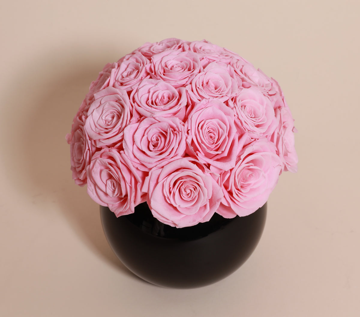 Noir Elegance - Blush Pink