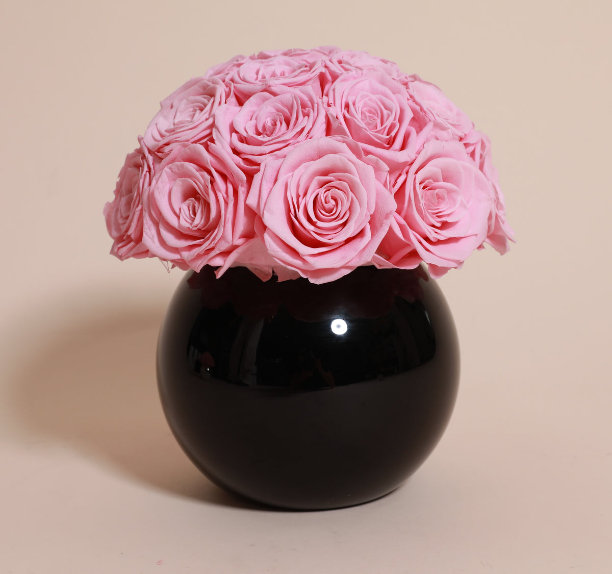 Noir Elegance - Blush Pink