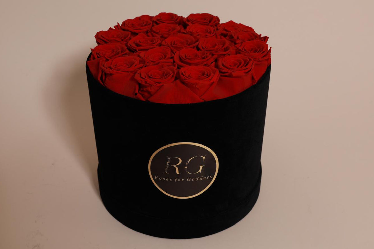 Black Velvet 19 roses