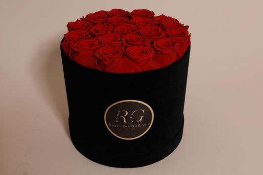Black Velvet 19 roses